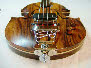 Violina IV