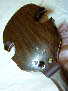 Violina III
