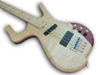 wp9545c9a2.png