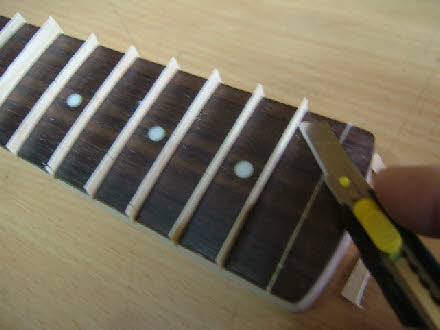 wpfdf85cb5_28.jpg